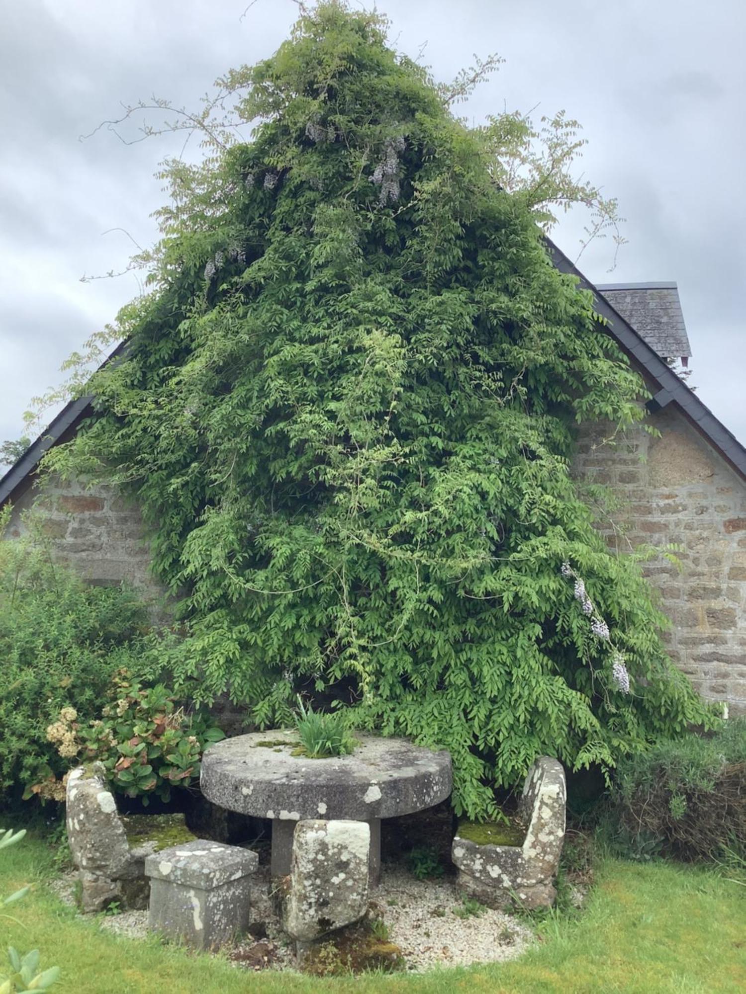 Romantic Cottage Viré Extérieur photo